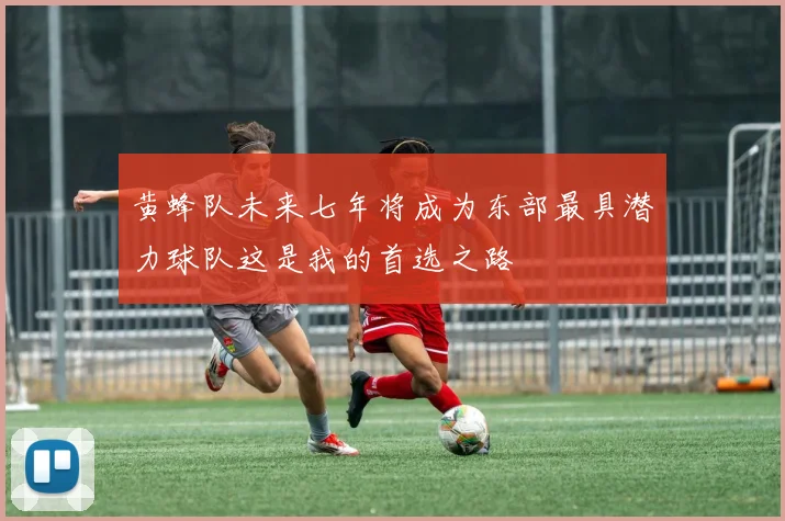 黄蜂队未来七年将成为东部最具潜力球队这是我的首选之路