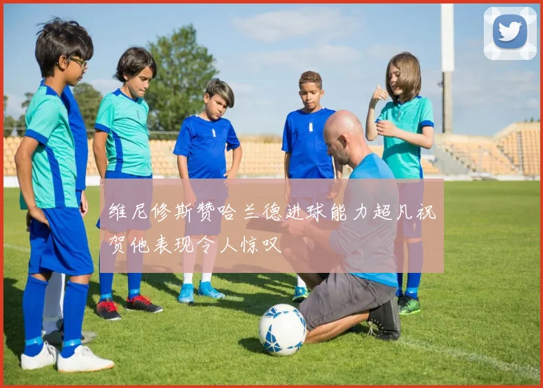 维尼修斯赞哈兰德进球能力超凡祝贺他表现令人惊叹